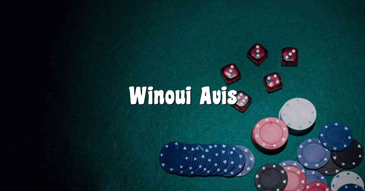 Winoui Avis